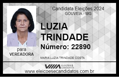 Candidato LUZIA TRINDADE 2024 - GOUVEIA - Eleições