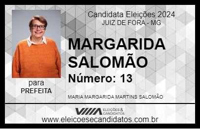 Candidato MARGARIDA SALOMÃO 2024 - JUIZ DE FORA - Eleições