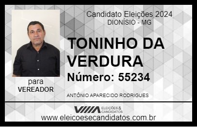 Candidato TONINHO DA VERDURA 2024 - DIONÍSIO - Eleições