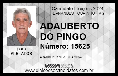 Candidato ADAUBERTO DO PINGO 2024 - FERNANDES TOURINHO - Eleições