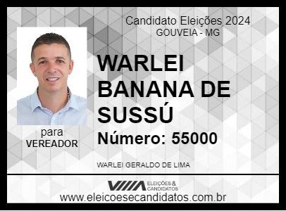 Candidato WARLEI BANANA DE SUSSÚ 2024 - GOUVEIA - Eleições