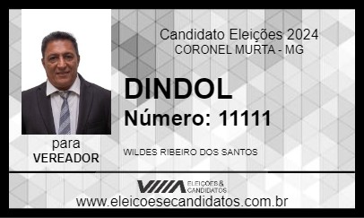 Candidato DINDOL 2024 - CORONEL MURTA - Eleições