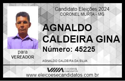 Candidato AGNALDO CALDEIRA GINA 2024 - CORONEL MURTA - Eleições