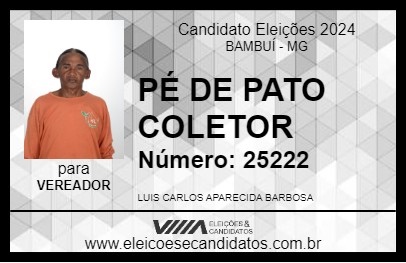 Candidato PÉ DE PATO COLETOR 2024 - BAMBUÍ - Eleições