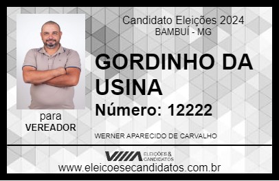 Candidato GORDINHO DA USINA 2024 - BAMBUÍ - Eleições