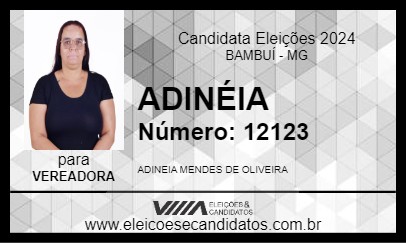 Candidato ADINÉIA 2024 - BAMBUÍ - Eleições