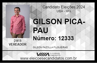 Candidato GILSON PICA-PAU 2024 - UBÁ - Eleições