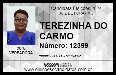 Candidato TEREZINHA DO CARMO 2024 - JUIZ DE FORA - Eleições