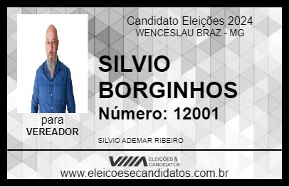 Candidato SILVIO BORGINHOS 2024 - WENCESLAU BRAZ - Eleições