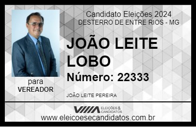 Candidato JOÃO LEITE LOBO 2024 - DESTERRO DE ENTRE RIOS - Eleições