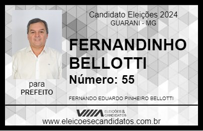 Candidato FERNANDINHO BELLOTTI 2024 - GUARANI - Eleições