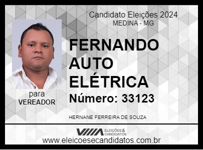 Candidato FERNANDO AUTO ELÉTRICA 2024 - MEDINA - Eleições