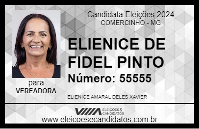 Candidato ELIENICE DE FIDEL PINTO 2024 - COMERCINHO - Eleições