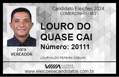 Candidato LOURO DO QUASE CAI 2024 - COMERCINHO - Eleições