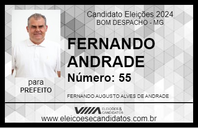 Candidato FERNANDO ANDRADE 2024 - BOM DESPACHO - Eleições