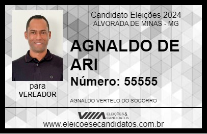 Candidato AGNALDO DE ARI 2024 - ALVORADA DE MINAS - Eleições