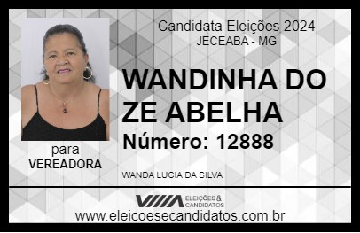 Candidato WANDINHA DO ZE ABELHA 2024 - JECEABA - Eleições