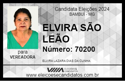 Candidato ELVIRA SÃO LEÃO 2024 - BAMBUÍ - Eleições