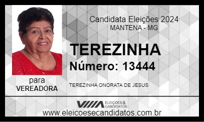 Candidato TEREZINHA 2024 - MANTENA - Eleições