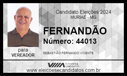 Candidato FERNANDÃO 2024 - MURIAÉ - Eleições