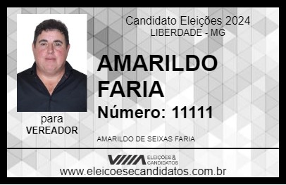 Candidato AMARILDO FARIA 2024 - LIBERDADE - Eleições