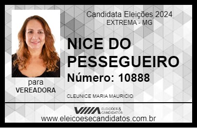 Candidato NICE DO PESSEGUEIRO 2024 - EXTREMA - Eleições