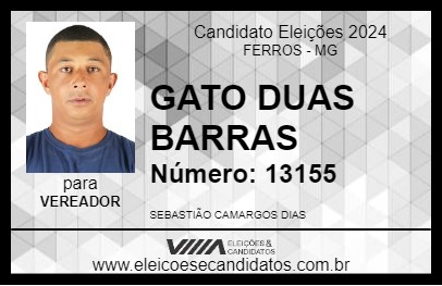 Candidato GATO DUAS BARRAS 2024 - FERROS - Eleições