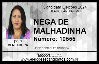 Candidato NEGA DE MALHADINHA 2024 - GLAUCILÂNDIA - Eleições