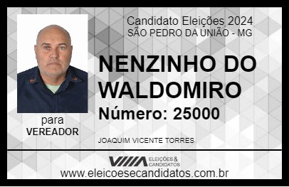 Candidato NENZINHO DO WALDOMIRO 2024 - SÃO PEDRO DA UNIÃO - Eleições