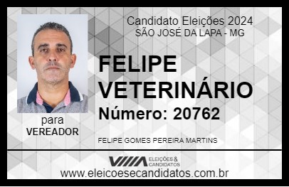 Candidato FELIPE VETERINÁRIO 2024 - SÃO JOSÉ DA LAPA - Eleições