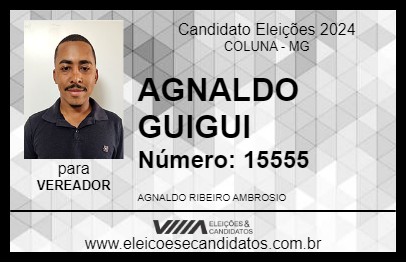 Candidato AGNALDO GUIGUI 2024 - COLUNA - Eleições