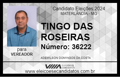 Candidato TINGO DAS ROSEIRAS 2024 - MATERLÂNDIA - Eleições