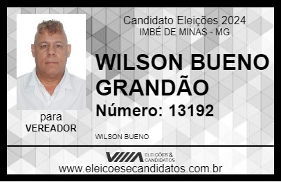 Candidato WILSON BUENO GRANDÃO 2024 - IMBÉ DE MINAS - Eleições