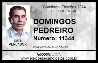 Candidato DOMINGOS PEDREIRO 2024 - HELIODORA - Eleições