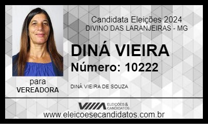 Candidato DINÁ VIEIRA 2024 - DIVINO DAS LARANJEIRAS - Eleições