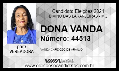 Candidato DONA VANDA 2024 - DIVINO DAS LARANJEIRAS - Eleições