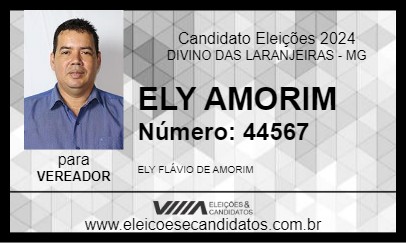 Candidato ELY AMORIM 2024 - DIVINO DAS LARANJEIRAS - Eleições