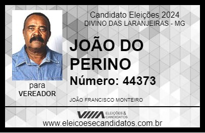 Candidato JOÃO DO PERINO 2024 - DIVINO DAS LARANJEIRAS - Eleições