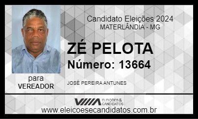 Candidato ZÉ PELOTA 2024 - MATERLÂNDIA - Eleições