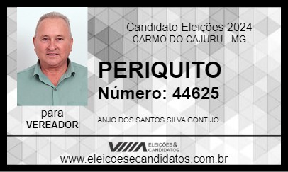 Candidato PERIQUITO 2024 - CARMO DO CAJURU - Eleições