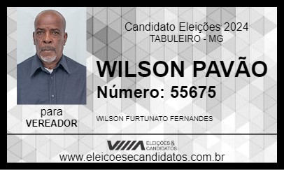 Candidato WILSON PAVÃO 2024 - TABULEIRO - Eleições