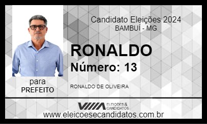 Candidato RONALDO 2024 - BAMBUÍ - Eleições