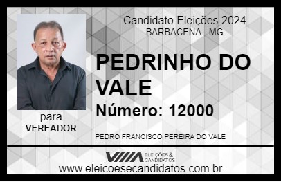 Candidato PEDRINHO DO VALE 2024 - BARBACENA - Eleições