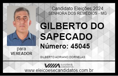 Candidato GILBERTO DO SAPECADO 2024 - SENHORA DOS REMÉDIOS - Eleições