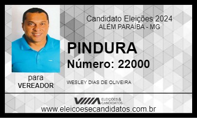 Candidato PINDURA 2024 - ALÉM PARAÍBA - Eleições