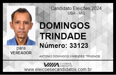 Candidato DOMINGOS TRINDADE 2024 - UBÁ - Eleições