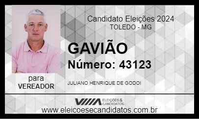 Candidato GAVIÃO 2024 - TOLEDO - Eleições