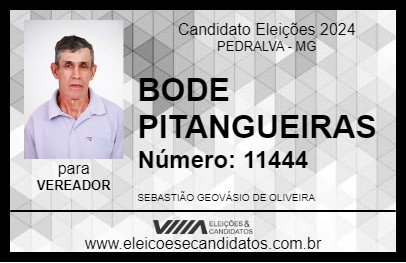 Candidato BODE PITANGUEIRAS 2024 - PEDRALVA - Eleições