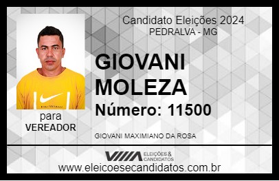 Candidato GIOVANI MOLEZA 2024 - PEDRALVA - Eleições