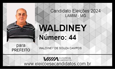 Candidato WALDINEY 2024 - LAMIM - Eleições